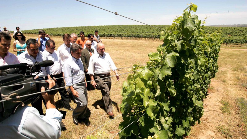 O governador do Estado, Germano Rigotto, visita o local onde a Vinícola Miolo construirá unidade industrial que produzirá 4 milhões de litros de vinho/ano. Rigotto assinou também termo de compromisso pelo qual a CEEE se compromete a investir R$ 180 mil p