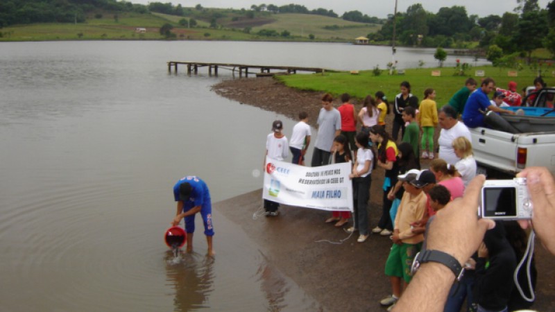 O Grupo CEEE, atrav&eacute;s da Companhia Estadual de Gera&ccedil;&atilde;o e Transmiss&atilde;o de Energia El&eacute;trica (CEEE-GT), realizou nesta quarta-feira (12) a soltura de 22 mil peixes no reservat&oacute;rio da barragem Maia Filho, que forma o reservat&oacute;rio de &aacute;gua da Usina Hidrel&eacute;trica