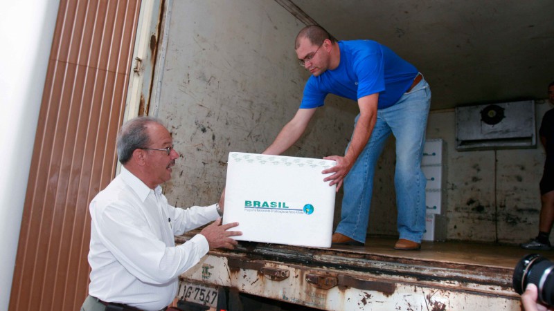 Rio Grande do Sul é o único estado brasileiro que distribui doses contra a febre aftosa aos pequenos produtores. Investimento do governo estadual soma R$ 5 milhões     Começou nesta terça-feira (11) a entrega de 4,1 milhões de vacinas contra a febre