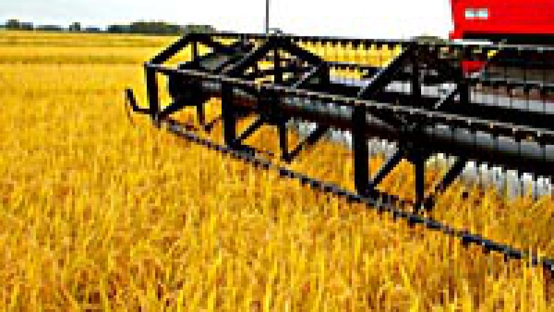 Um projeto para a racionalização de custos em energia elétrica nos sistemas de bombeamento de água para a lavoura arrozeira pode proporcionar uma economia de até 40%. O projeto foi desenvolvido pelo Instituto Rio Grandense do Arroz (Irga), em parceria