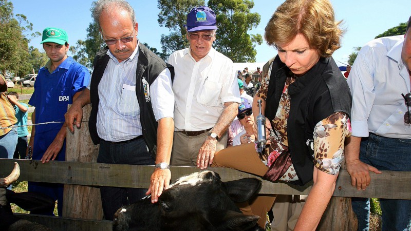 A governadora Yeda Crusius e o secretário de Agricultura, Pecuária e Agronegócio, João Carlos Machado, participam da solenidade de abertura da Campanha de Vacinação contra Febre Aftosa - Etapa Janeiro 2008.