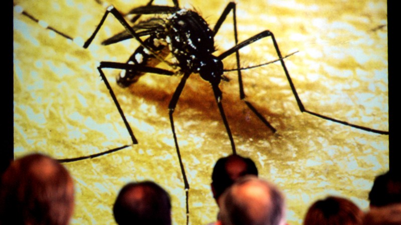 Reunião com representantes de municípios gaúchos com infestação do Aedes Aegypti, mosquito transmissor da dengue.