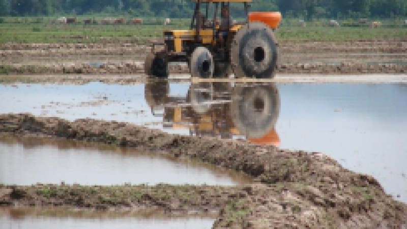 Candel&aacute;ria &eacute; um dos primeiros munic&iacute;pios do Estado a iniciar o plantio de arroz. Esta semana, produtores da Linha Palmeira come&ccedil;aram a semeadura do sistema pr&eacute;-germinado. Segundo o engenheiro agr&ocirc;nomo do Irga, Luciano Siqueira, at&eacute; este dia 10 de