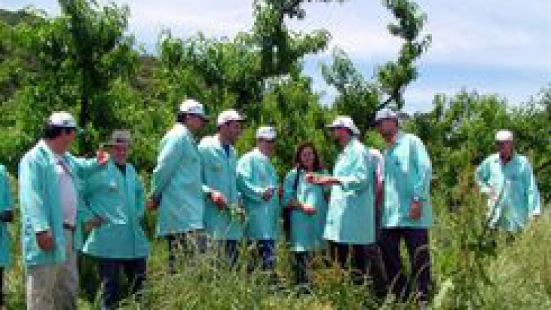 O Centro Regional de Forma&ccedil;&atilde;o Profissional de Agricultores (Cetanp) de Nova Petr&oacute;polis completou 13 anos de funcionamento no &uacute;ltimo s&aacute;bado (17). As atividades de forma&ccedil;&atilde;o do Centro s&atilde;o realizadas atrav&eacute;s de cursos para produtores, estudantes e t&eacute;cnicos. 