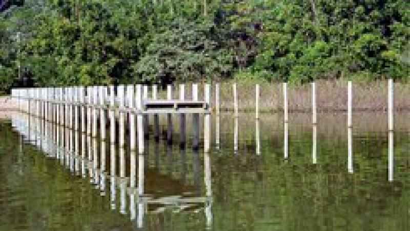 A Secretaria do Meio Ambiente informa que o Parque Estadual de Itapu&atilde;, localizado em Viam&atilde;o, est&aacute; temporariamente fechado, em decorr&ecirc;ncia de danos causados pelos fortes ventos e chuvas do &uacute;ltimo final de semana.    A previs&atilde;o para a retomada da visita&ccedil;&atilde;o