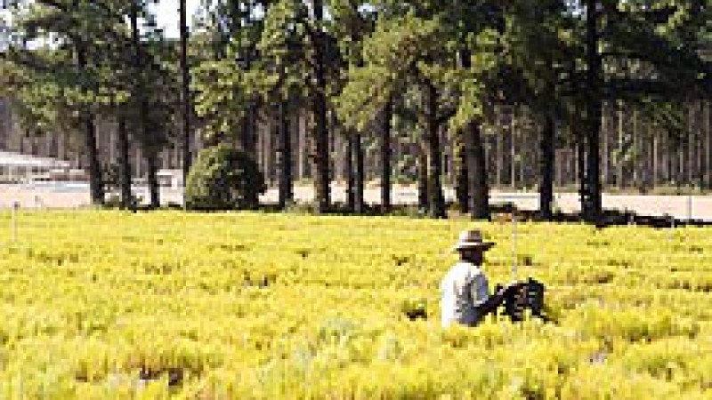A governadora Yeda Crusius inaugura às 11 horas desta quarta-feira (19) o Licenciamento Ambiental Unificado, localizado no andar térreo da Ala Sul do Centro Administrativo Fernando Ferrari (CAFF). É a Secretaria do Meio Ambiente, por intermédio do