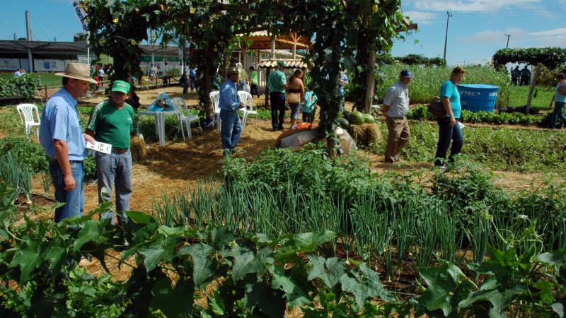 Muitos visitantes t&ecirc;m procurado a parcela de Horticultura e Irriga&ccedil;&atilde;o no Espa&ccedil;o da Emater/RS-Ascar, na Expodireto Cotrijal, em N&atilde;o-Me-Toque. A maioria dos agricultores e tamb&eacute;m estudantes, como os da Escola Agrot&eacute;cnica Federal de Sert&atilde;o, querem saber