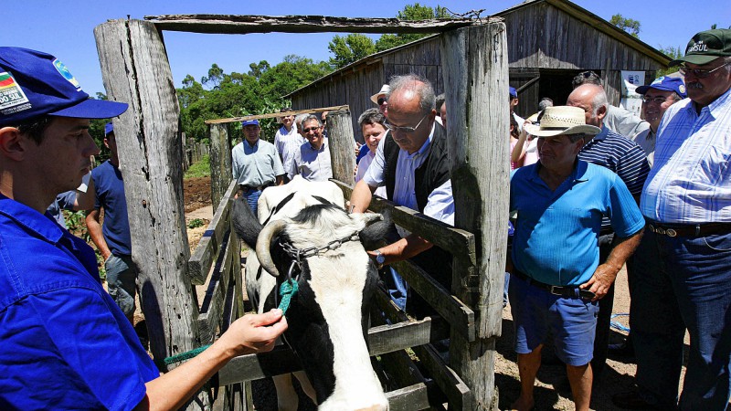 O secretário da Agricultura, Pecuária, Pesca e Agronegócio, João Carlos Machado durante o lançamento oficial da campanha de Vacinação contra a febre Aftosa 2009, realizado na propriedade do pequeno produtor Fernando Aguiar, localizada no Morro da