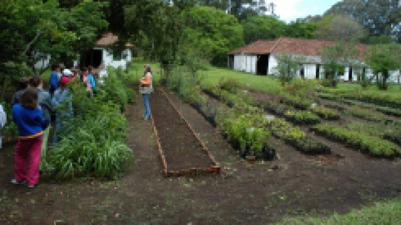 Representantes do governo do Estado participam, nesta sexta-feira (10), da reinauguração da Trilha Ecológica do Horto Florestal do Litoral Norte, unidade da Secretaria Estadual do Meio Ambiente. O diretor do Horto Florestal, Argílio Gomes Pereira,