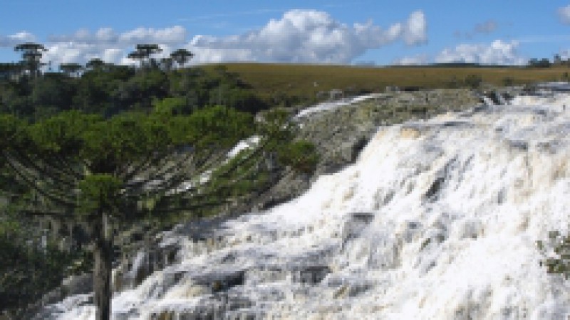 O Sistema Estadual de Unidades de Conservação (SEUC), constituído por 23 unidades de conservação estaduais, 24 municipais e uma reserva particular do patrimônio natural (RPPN), tem o objetivo de promover a criação, implantação e manutenção das UC`s