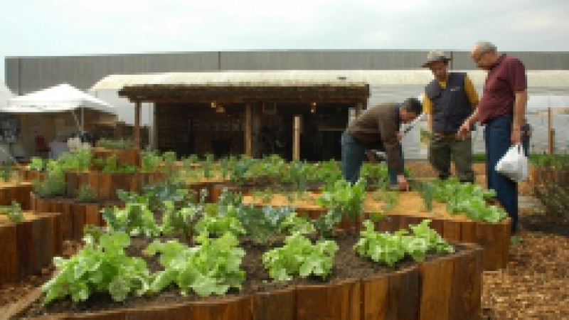 Segurança alimentar da família e melhor aproveitamento do ambiente. Esses são os objetivos da horta doméstica exposta no espaço Caminhos da Integração, na Expointer 2010, em Esteio. A horta, em forma de mandala, mostra como distribuir adequadamente as