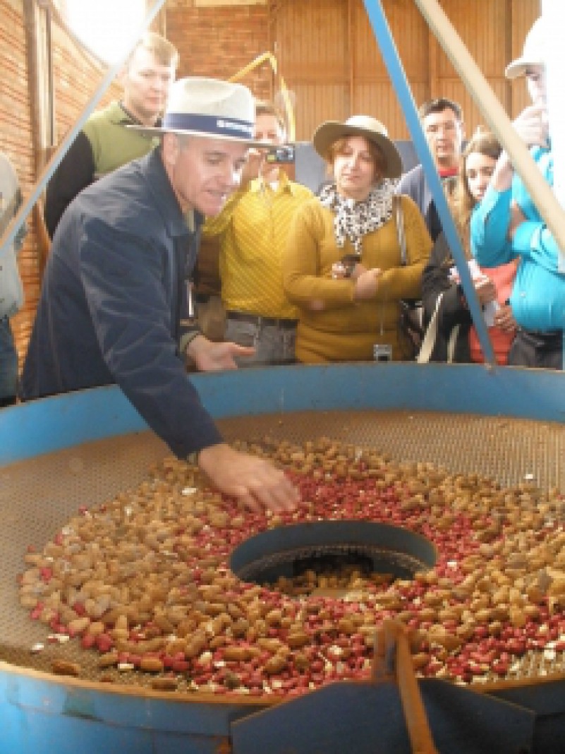 Maior produtor de amendoim em escala comercial no RS, Augusto Pestana recebeu a visita de 120 pessoas de 16 municípios do Noroeste, interessadas em ver de perto as possibilidades econômicas do grão. O amendoim gera grande receita para o produtor, disse o