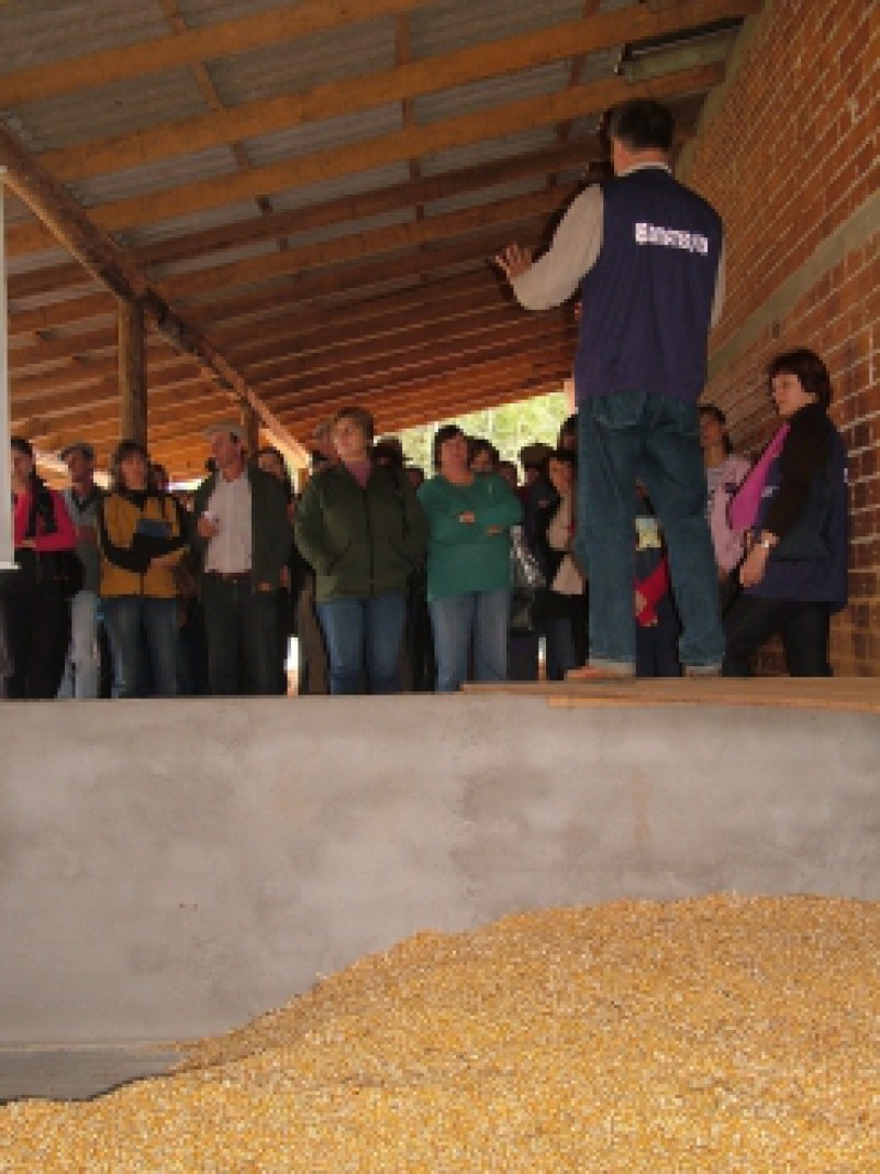 A demonstração de sete tecnologias agropecuárias atraiu cerca de 900 pessoas a uma tarde de campo, na quinta-feira (29), na propriedade dos agricultores Nilton e Santo Polesello, na comunidade de Santa Libera, em Nova Prata.  Os participantes puderam