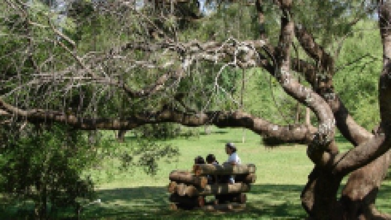 O Museu de Ciências Naturais da Fundação Zoobotânica do RS promove, neste domingo (2), a I Feira Gaúcha da Biodiversidade – Artesanato e Culinária – Febio 2010, das 11h às 17h, no estacionamento do Jardim Botânico de Porto Alegre (Rua Dr. Salvador