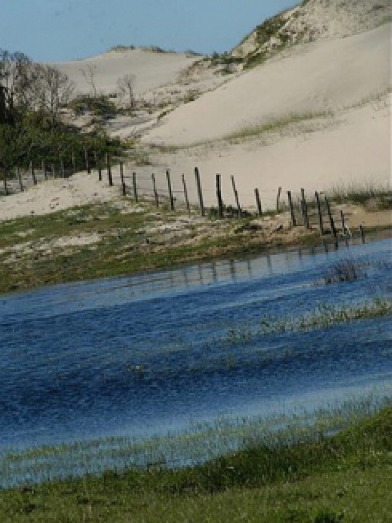 &nbsp;Al&eacute;m dos parques de turismo aventura, quem visita o espa&ccedil;o tem&aacute;tico de ecoturismo, no Sal&atilde;o Ga&uacute;cho do Turismo, pode saber um pouco mais sobre tr&ecirc;s unidades de conserva&ccedil;&atilde;o abertas para visita&ccedil;&atilde;o p&uacute;blica: o Parque de Itapu&atilde;, em Viam&atilde;o; o Parque Estadual