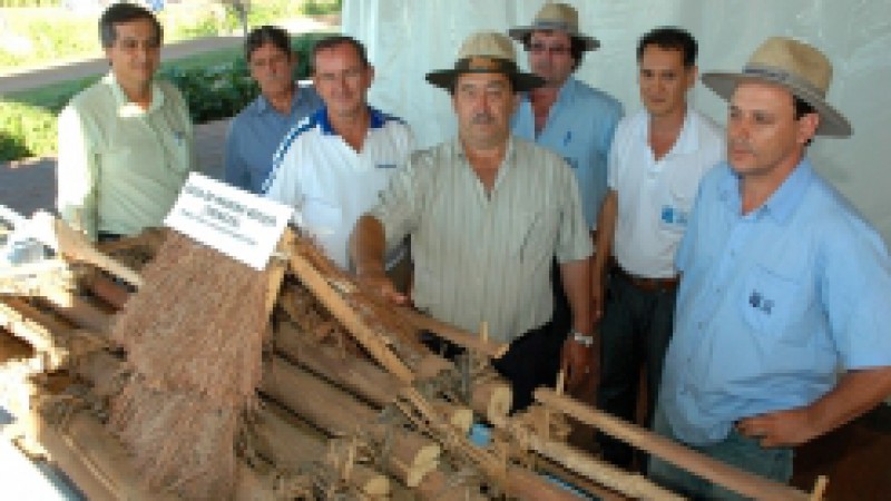 Uma viagem na história das balsas e balseiros do Rio Uruguai é a grande novidade deste ano da parcela das Florestas Comerciais, um dos espaços da Emater/RS-Ascar na 11ª Expodireto Cotrijal. Por meio de exposição de protótipos das balsas, da presença de