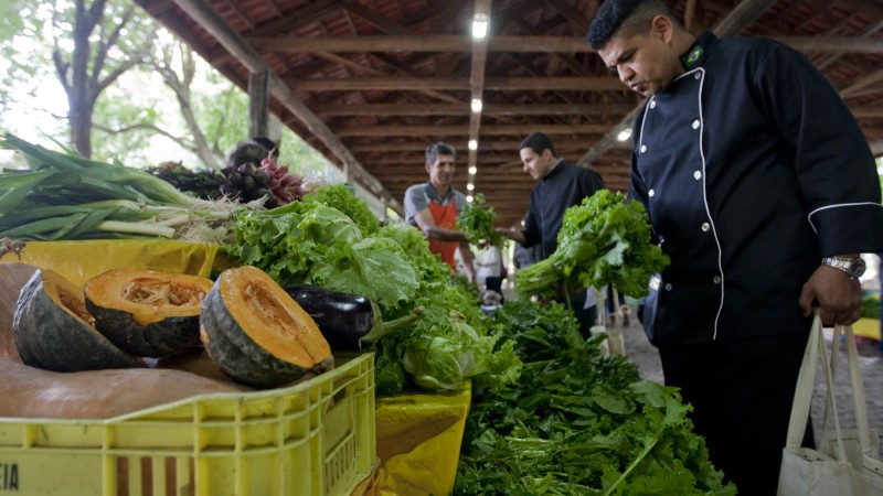 Funcionários da cozinha do Palácio Piratini em compras na Feira Livre de Produtos Orgânicos.