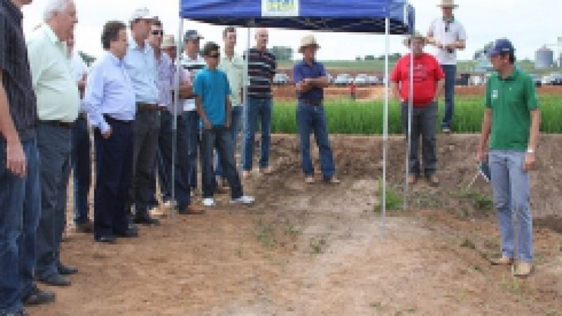 O Instituto Rio Grandense do Arroz (Irga) promoveu Dia de Campo, nesta quinta-feira (15), no Centro de Eventos de Restinga Sêca. O objetivo foi apresentar as principais tecnologias da Vitrine Tecnológica da 22ª Abertura Oficial da Colheita do Arroz, que