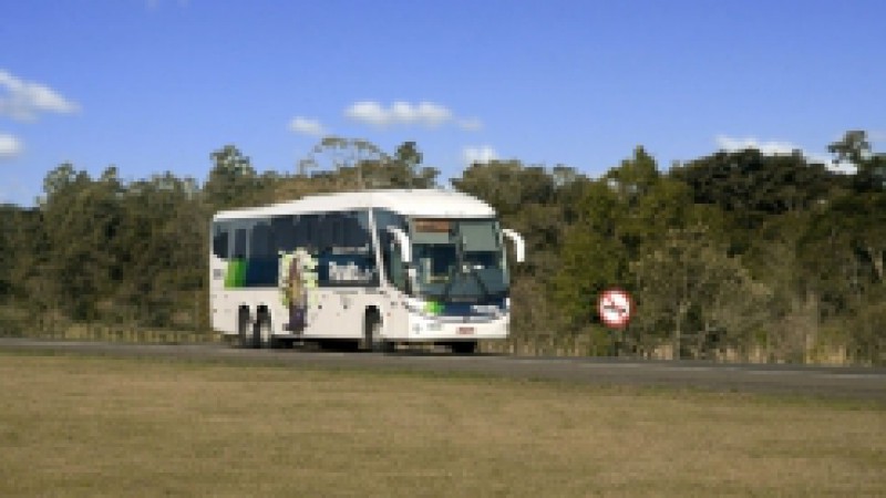 Artistas pl&aacute;sticos, designers, ilustradores e grafiteiros de todo o Pa&iacute;s podem se inscrever, at&eacute; 15 de novembro, no Concurso Arte na Estrada, promovido pela Planalto Transporte e com o apoio da Marcopolo e da Secretaria de Estado da Cultura. O tema dos