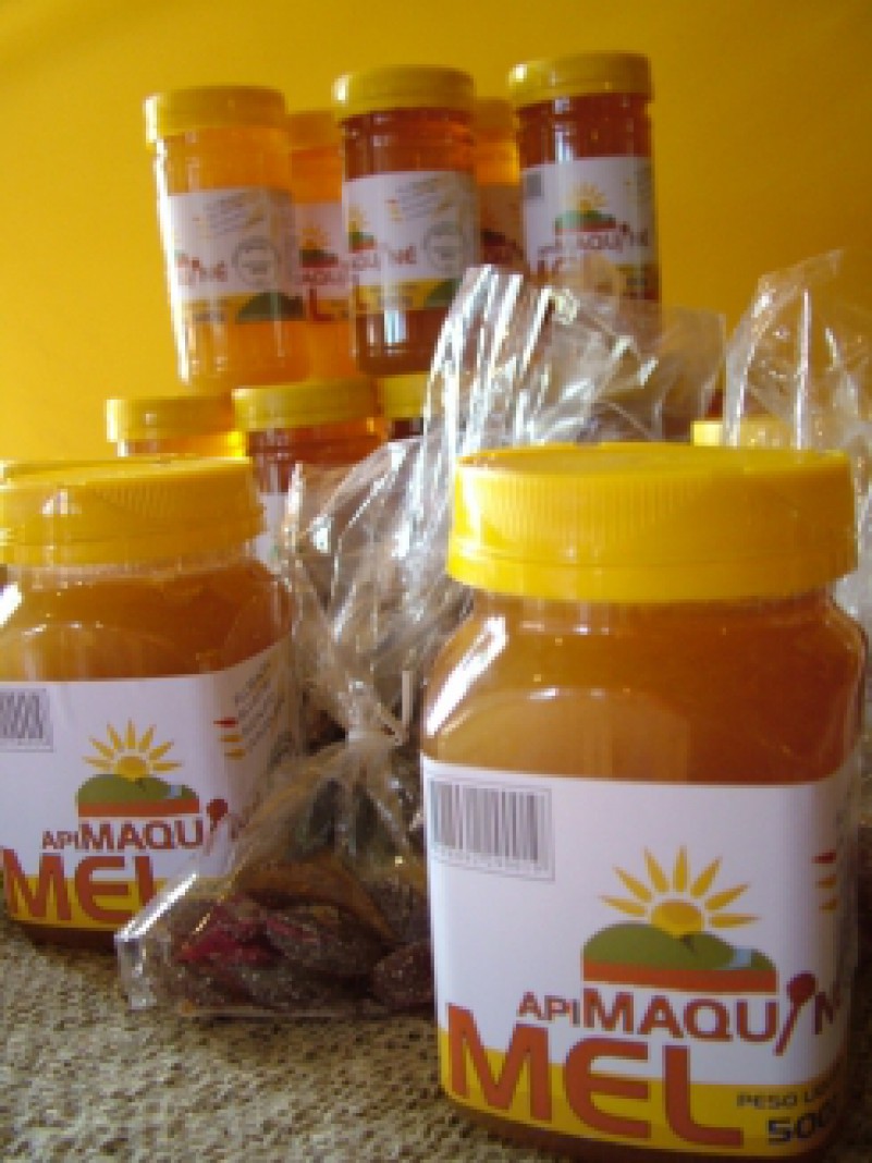 A cria&ccedil;&atilde;o de abelhas na propriedade familiar &eacute; uma alternativa para garantir a seguran&ccedil;a e a soberania alimentar, bem como a gera&ccedil;&atilde;o de renda e a diversifica&ccedil;&atilde;o da produ&ccedil;&atilde;o rural. Com a cria&ccedil;&atilde;o das abelhas &eacute; poss&iacute;vel explorar produtos como p&oacute;len ap&iacute;cola,