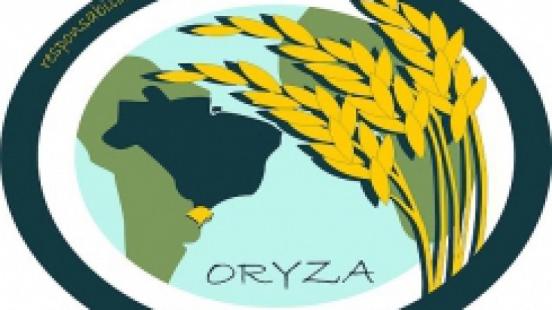 Criado pelo Instituto Rio Grandense do Arroz (Irga), o Selo Ambiental da Lavoura de Arroz Irrigado do Rio Grande do Sul tem por objetivo certificar as propriedades rurais adequadas à legislação ambiental e aos preceitos de tecnologias mais limpas. São 18