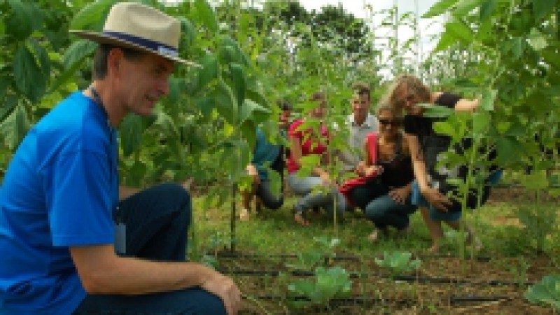 Uma das atividades destaque do espaço da Emater/RS-Ascar, na Expoagro Afubra 2011, em Rio Pardo, é a horta ecológica. No local, os visitantes da Feira podem conferir o cultivo de diversas olerícolas consorciadas no mesmo canteiro, sem a utilização de