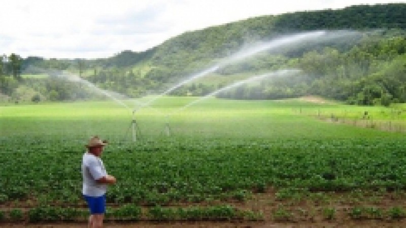 A unidade piloto de transferência de tecnologia (UPT) de feijão, instalada no município de Segredo, na região Centro-Serra, será alvo de tarde de campo promovida pela Emater/RS-Ascar em parceria com a Embrapa Feijão e Arroz e a Embrapa Clima Temperado,