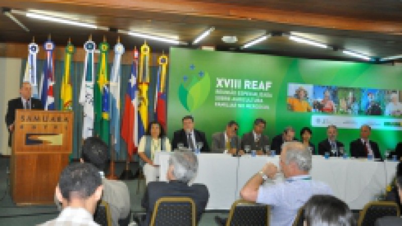 A preocupação com a fixação da juventude rural no campo foi um dos temas das discussões da XVIII Reunião Especializada sobre Agricultura Familiar no Mercosul (Reaf), evento realizado em Caxias do Sul (RS). A abertura oficial ocorreu na quarta-feira (14),