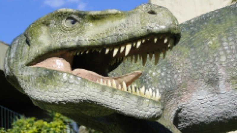 O Museu de Ciências Naturais (MCN/FZB) promove uma oficina sobre o tema Paleontologia, dentro do projeto Oficinas de Fauna e Flora do RS, para professores (de ensino fundamental e médio) e acadêmicos, nos dias 28 e 29 de setembro, das 9h às 12h e das 13h