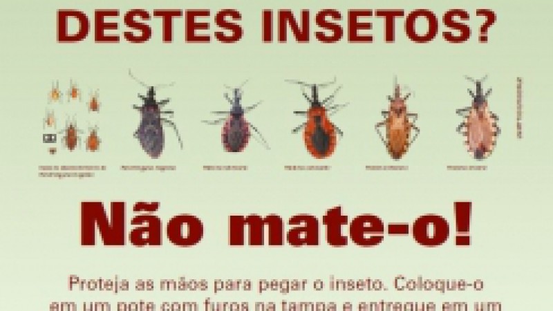 Para auxiliar a população na identificação do inseto transmissor da doença de Chagas e orientar sobre o que fazer ao encontrá-lo, a Secretaria Estadual da Saúde (SES) desenvolveu uma campanha sobre o tema, que começa nesta segunda-feira (23). A