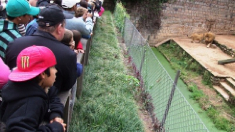 A comemoração de 50 anos do Parque Zoológico reuniu cerca de 25 mil pessoas, no feriado do dia 1º de maio, superando a expectativa inicial e o público de 2011. O diretor da instituição, Luiz Carlos de Lima Leite, saudou o dia festivo. Celebramos com