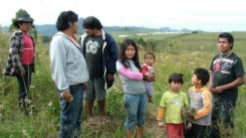 Fam&iacute;lias ind&iacute;genas que h&aacute; mais de 30 anos viviam em barracas no acampamento Miby&aacute; Guarani, &agrave; margem da BR-392, na localidade do Arenal, em Santa Maria, foram reassentadas pelo Governo do Estado, nesta quinta-feira (26). A partir desta data, as fam&iacute;lias