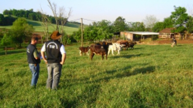 Uma multa de R$ 24,2 mil reais foi aplicada a um produtor de Faxinal de Soturno que apresentava o cadastro irregular junto a Inspetoria Veterinária Zootécnica (IVZ) local. Durante trabalho de fiscalização em propriedades rurais da Supervisão Regional da