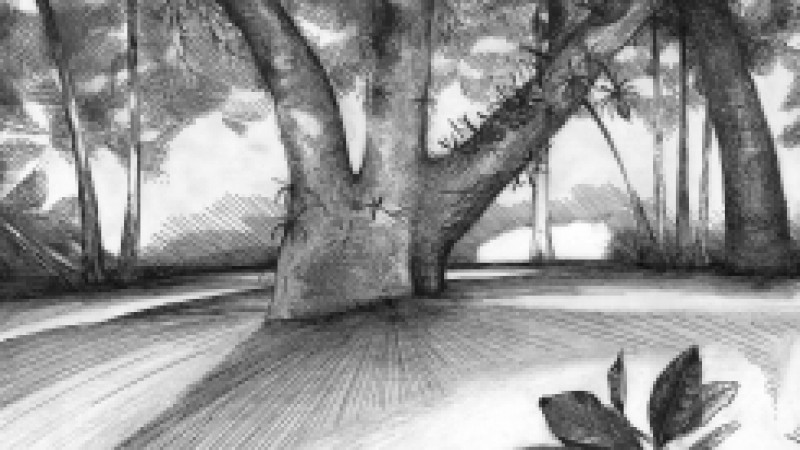 Para os amantes da natureza e da arte, ocorre neste sábado (14) a edição mensal do curso de observação da paisagem por meio do desenho, no Jardim Botânico, em Porto Alegre. A oficina será ministrada pelo artista plástico Jorge Hermann, das 9h às 13h. As