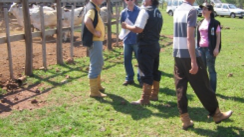 De olho na proteção do Estado contra a Febre Aftosa, técnicos da Divisão de Fiscalização e Defesa Sanitária Animal (DPA) da Secretaria da Agricultura, Pecuária e Agronegócio (Seapa/RS), realizarão, a partir de segunda-feira (9), em Tapes, uma simulação