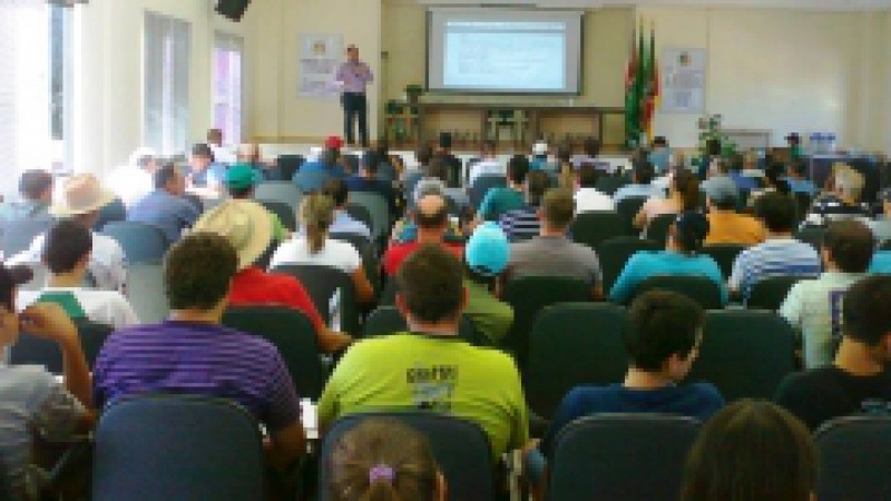 A Secretaria de Desenvolvimento Rural, Pesca e Cooperativismo (SDR) participou, nesta quarta-feira (4), da abertura da VI Feira do Peixe, em Taquaruçu do Sul. O evento ocorre junto ao trevo de acesso ao município e se encerra nesta quinta-feira (5/). A