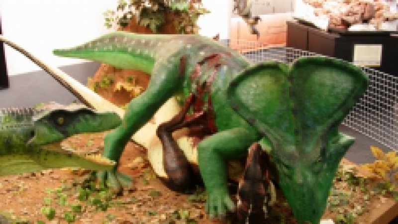 A exposição Dinossauros: Ciência e Ficção ficará instalada em Imbé, até o final de março, no Centro de Estudos Costeiros, Limnológicos e Marinhos (Ceclimar). Produzida pelo Museu de Ciências Naturais da Fundação Zoobotânica do RS (MCN/ FZB-RS), trata