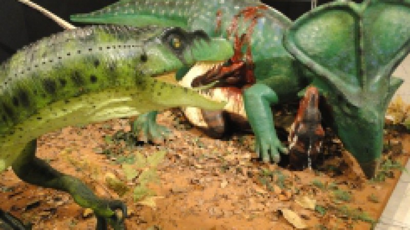 A exposição Dinossauros: Ciência e ficção volta a ser exibida no Museu de Ciências Naturais, situado no Jardim Botânico. Esculturas que simulam uma batalha entre dois Velociraptor e um Protoceraptor estão integradas a informações que mesclam o