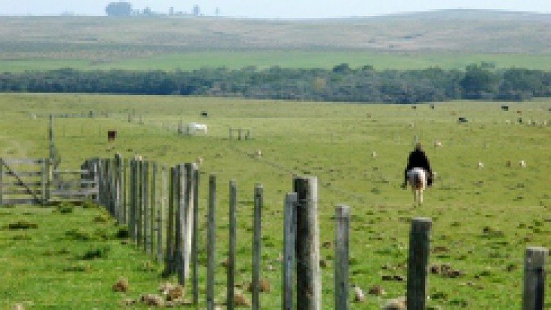 O mês de outubro se caracteriza no Rio Grande do Sul por um período de carência de pasto, denominado de vazio forrageiro da primavera. Nesta situação, as pastagens anuais e perenes de inverno, especialmente aveia e azevém, encerram seu ciclo vegetativo,
