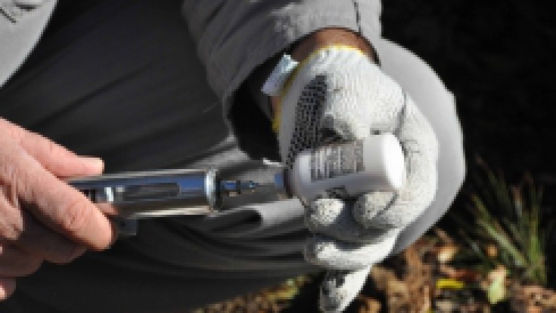 Nos 26 municípios de abrangência da coordenadoria regional da Secretaria da Agricultura, Pecuária e Agronegócio (Seapa), sediada em Santa Maria, na Região Central do estado, deverão ser imunizados cerca de 330 mil bovídeos contra a febre aftosa. Cerca de