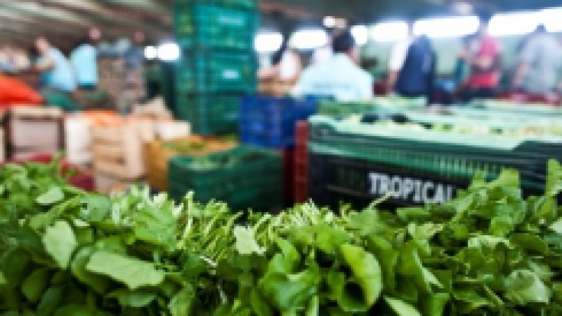 A Centrais de Abastecimento do Rio Grande do Sul (Ceasa/RS), engajada na luta por uma alimenta&ccedil;&atilde;o adequada e saud&aacute;vel, far&aacute;, no pr&oacute;ximo dia 02 de outubro, quarta-feira, o lan&ccedil;amento da campanha de incentivo ao consumo de frutas, legumes e verduras,