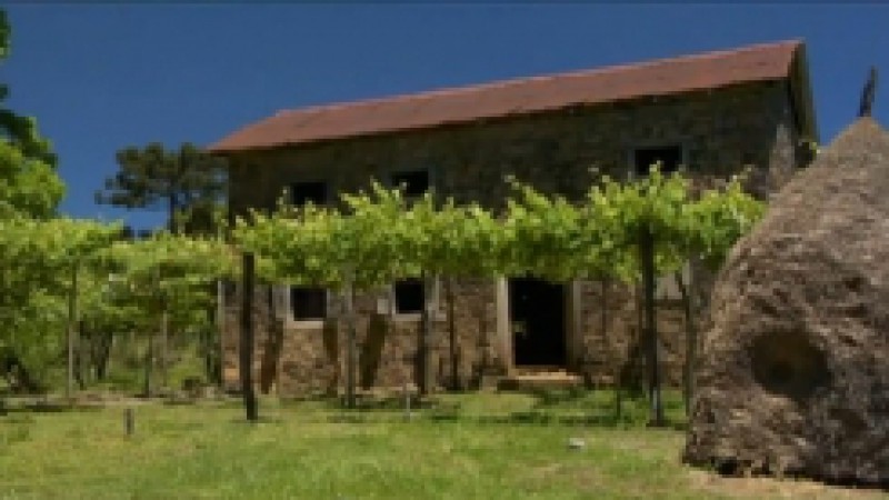 O documentário Caminhos de Pedra, Tempo e Memória na Linha Palmeiro, dirigido por Pedro Zimmermann, mostra o percurso conhecido como Caminhos de Pedra, um dos berços da imigração italiana, localizado no município de Bento Gonçalves, no Rio Grande do Sul.