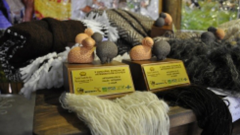 O Caminhos da Integra&ccedil;&atilde;o, espa&ccedil;o da Emater/RS-Ascar na Expointer 2013, recebeu a d&eacute;cima edi&ccedil;&atilde;o do Concurso Estadual de Artesanato em L&atilde; e Peles Ovinas, na tarde deste domingo (25). Concorreram 74 pe&ccedil;as, produzidas por 43 artes&atilde;os de todo o Estado, em