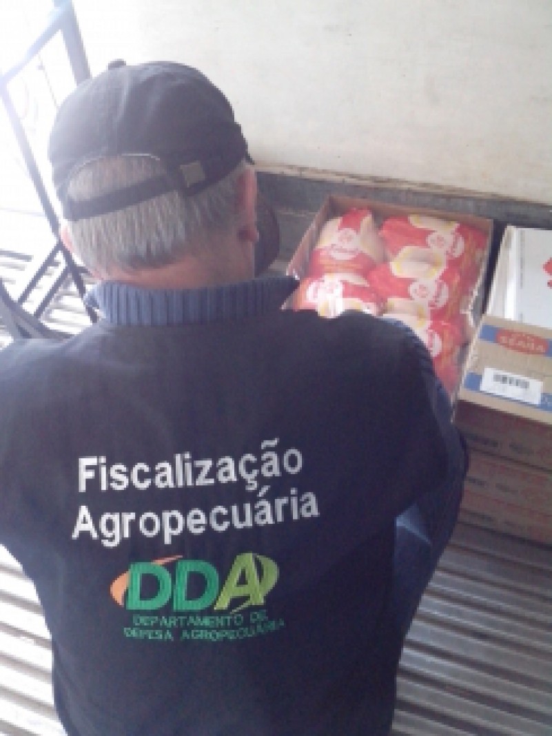 O Departamento de Defesa Agropecuária, órgão vinculado à Secretaria da Agricultura, Pecuária e Agronegócio (Seapa), montou barreira na manhã desta quinta-feira (19) no município de Teutônia, com o objetivo de fiscalizar o trânsito de animais e de