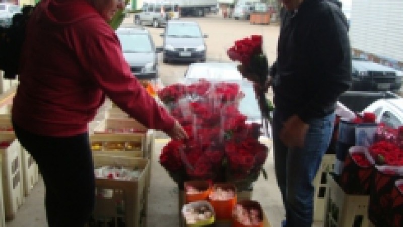 Os comerciantes do setor de flores da Ceasa (Centrais de Abastecimento do Estado) comemoram o aumento no volume de venda de rosas, especialmente vermelhas, para atender o Dia dos Namorados, nesta quarta-feira (12). Segundo Beatriz Lemos, integrante da