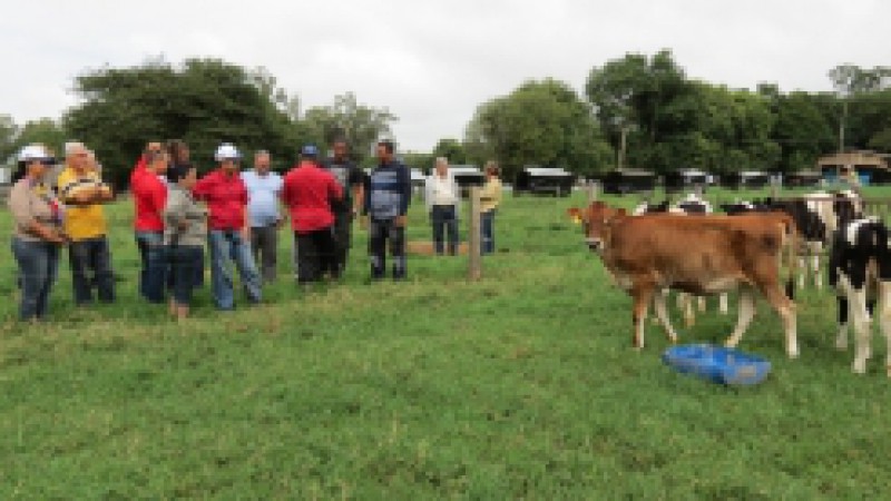 Um grupo de pesquisadores de Cuba visitou, nesta sexta-feira (12), o Assentamento 30 de Maio, em Charqueadas. A comitiva com dez representantes do país caribenho conheceu o sistema de irrigação que está sendo implantado numa área de 18 hectares de
