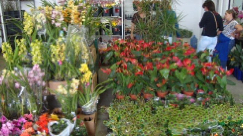 As flores fazem parte da lista dos presentes preferidos de dar e também de receber, e continuam sendo uma das opções mais tradicionais para homenagem às mães. Por isso, o setor de flores da Ceasa/RS (Centrais de Abastecimento do Estado) registrou grande