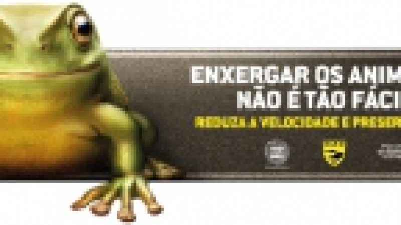 O Departamento Autônomo de Estradas de Rodagem (Daer) realiza uma campanha de preservação da fauna na Rota do Sol (ERS-486), no trecho entre Tainhas e a BRS-101. No local, que é Área de Preservação Ambiental (APP), é proibido jogar lixo e tocos de