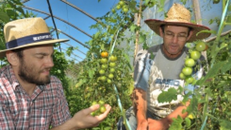 A produ&ccedil;&atilde;o de alimentos saud&aacute;veis e nutritivos tem sido o objetivo da fam&iacute;lia Harff. O agricultor Ruben Harff reside com a esposa em uma propriedade de sete hectares, no interior de Sapiranga, na comunidade de Mucker-Eck. Morando em um local de