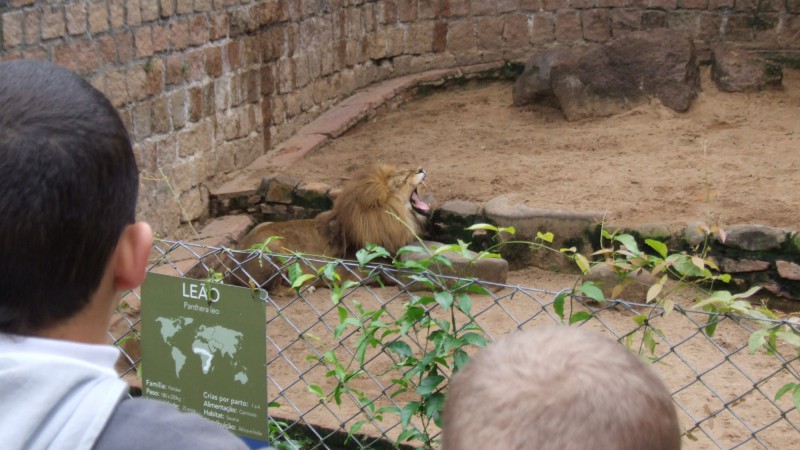 Em 50 hectares de &aacute;rea de visita&ccedil;&atilde;o, o Zoo abriga cerca de 130 esp&eacute;cies, entre aves, r&eacute;pteis e mam&iacute;feros, com mais de mil animais nativos e ex&oacute;ticos